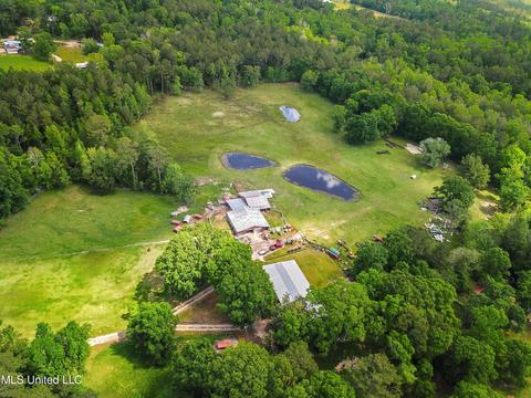 1162 Us-98, Lucedale, MS 39452 photo 29