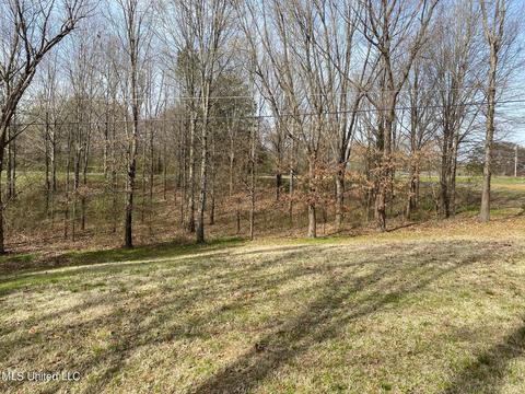 5090 Belmont Rd, Hernando, MS 38632 photo 7