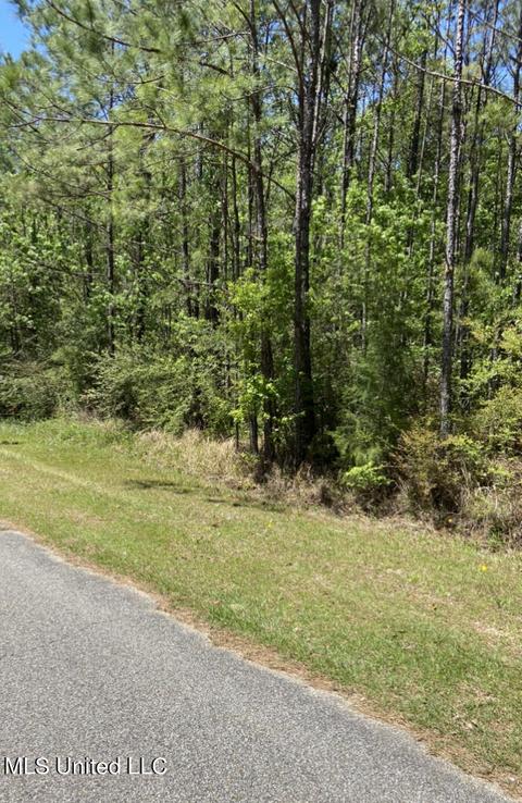 Sampras Boulevard, Vancleave, MS 39565 photo 6
