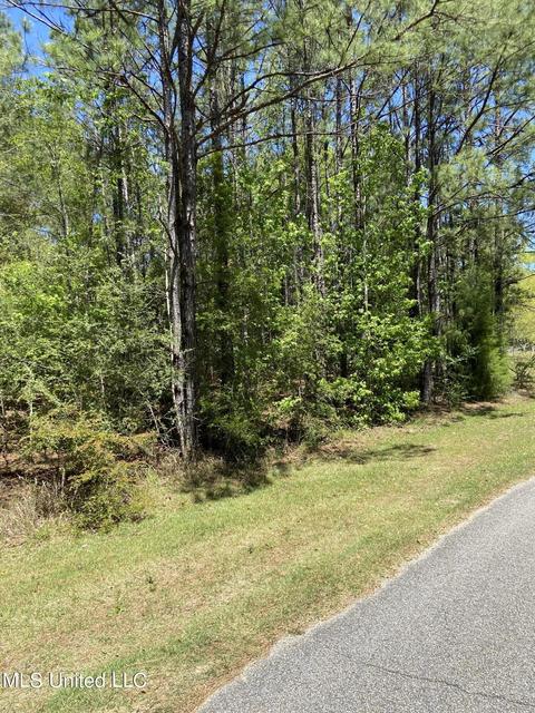 Sampras Boulevard, Vancleave, MS 39565 photo 3