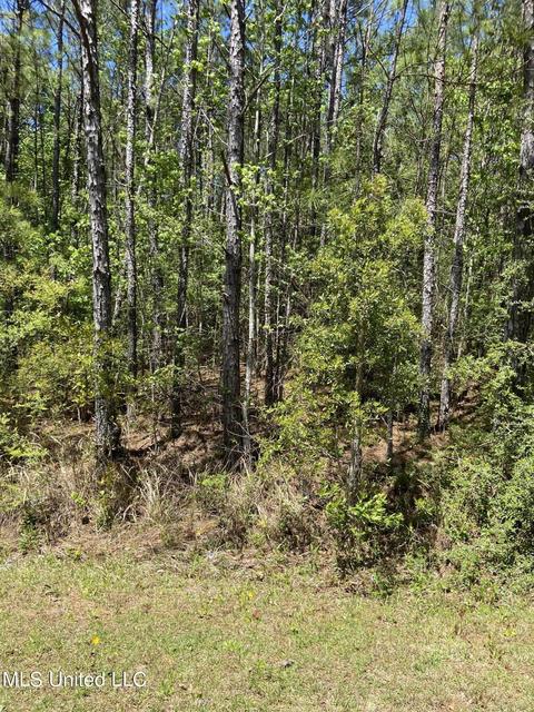 Sampras Boulevard, Vancleave, MS 39565