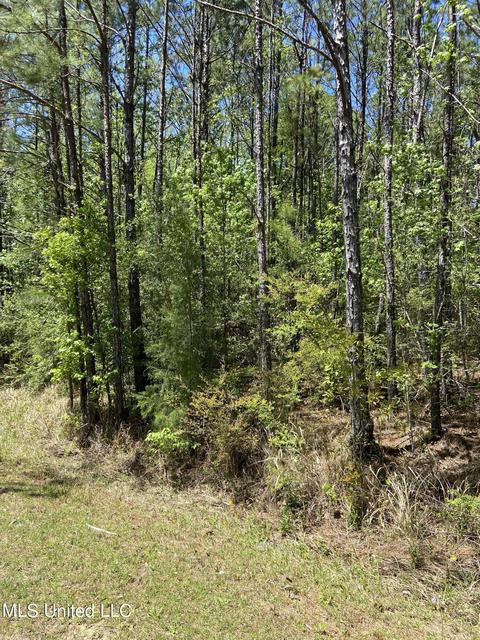 Sampras Boulevard, Vancleave, MS 39565 photo 2