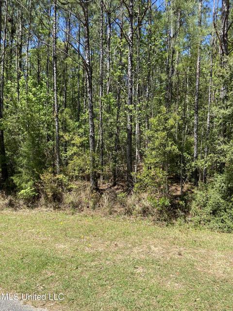 Sampras Boulevard, Vancleave, MS 39565 photo 5