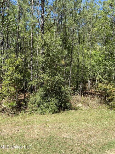 Sampras Boulevard, Vancleave, MS 39565 photo 4