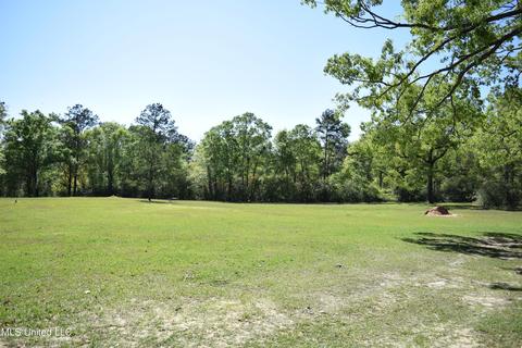 160 Andy And Dave Rd, Lucedale, MS 39452 photo 27