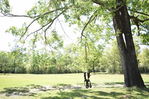 160 Andy And Dave Rd, Lucedale, MS 39452 photo 28