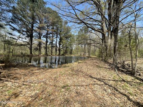 2470 Star Landing Rd, Nesbit, MS 38651 photo 7