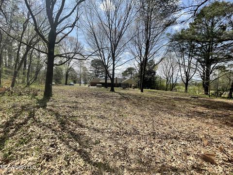 2470 Star Landing Rd, Nesbit, MS 38651 photo 6