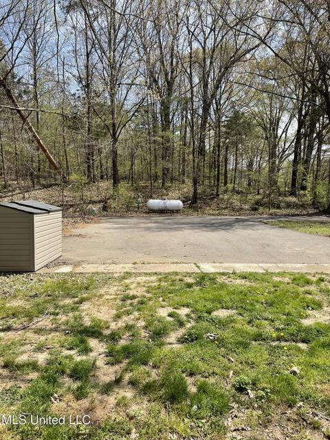 2470 Star Landing Rd, Nesbit, MS 38651 photo 3