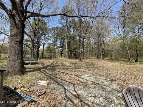 2470 Star Landing Rd, Nesbit, MS 38651 photo 4