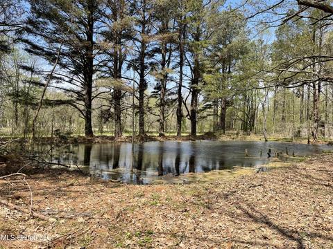 2470 Star Landing Rd, Nesbit, MS 38651 photo 5