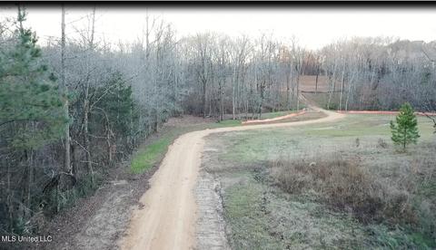 8711 Cole Rd, Olive Branch, MS 38654 photo 1