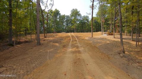 8711 Cole Rd, Olive Branch, MS 38654 photo 2