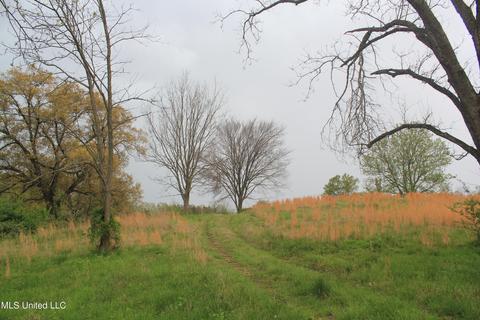 2980 Fogg Rd, Nesbit, MS 38651 photo 1