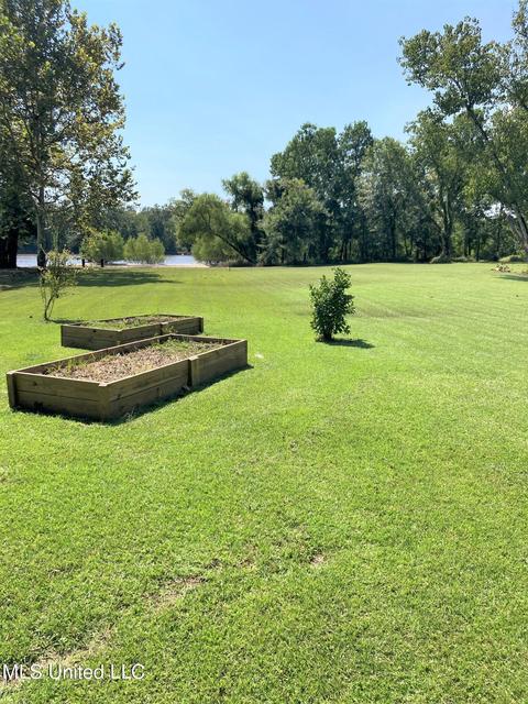 112 Plum Bluff Dr, Lucedale, MS 39452 photo 7