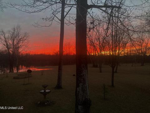 112 Plum Bluff Dr, Lucedale, MS 39452 photo 52