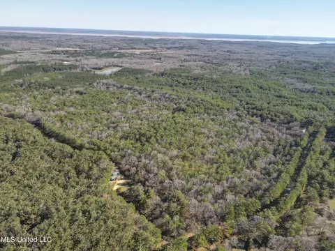 00 Bemis Brunt Rd, Como, MS 38619 photo 25