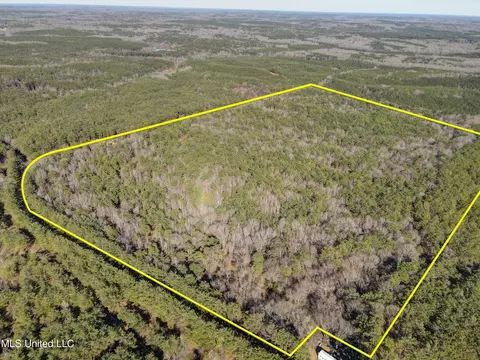 00 Bemis Brunt Rd, Como, MS 38619 photo 3