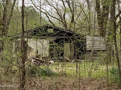 00 Bemis Brunt Rd, Como, MS 38619 photo 20