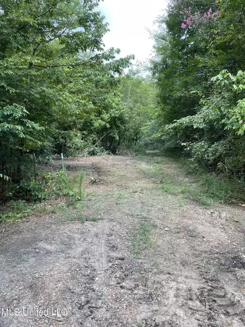 00 Bemis Brunt Rd, Como, MS 38619 photo 9