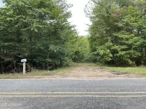 00 Bemis Brunt Rd, Como, MS 38619 photo 14