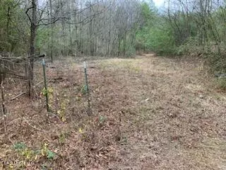 00 Bemis Brunt Rd, Como, MS 38619 photo 10
