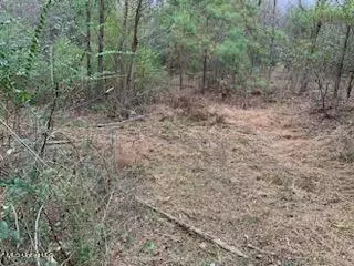00 Bemis Brunt Rd, Como, MS 38619 photo 12