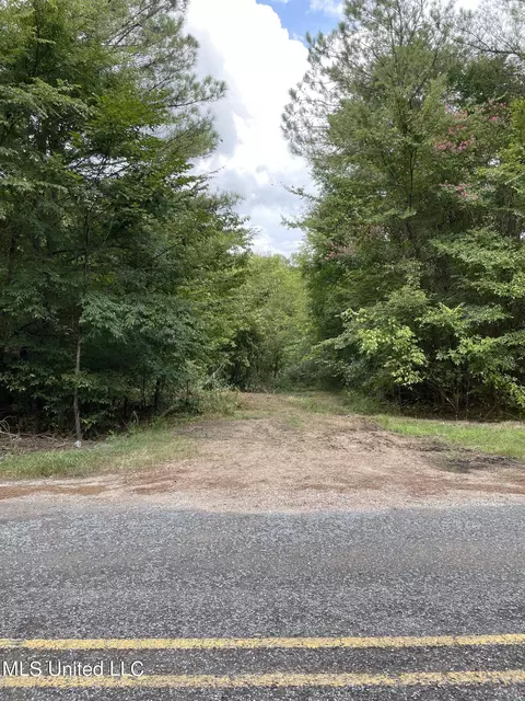 00 Bemis Brunt Rd, Como, MS 38619 photo 6