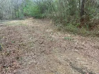 00 Bemis Brunt Rd, Como, MS 38619