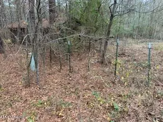 00 Bemis Brunt Rd, Como, MS 38619 photo 13
