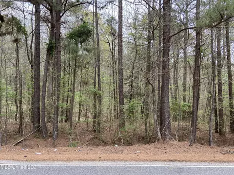 00 Bemis Brunt Rd, Como, MS 38619 photo 19