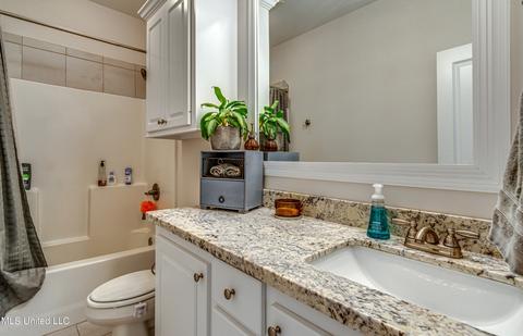 202 Falls Xing, Madison, MS 39110 photo 21