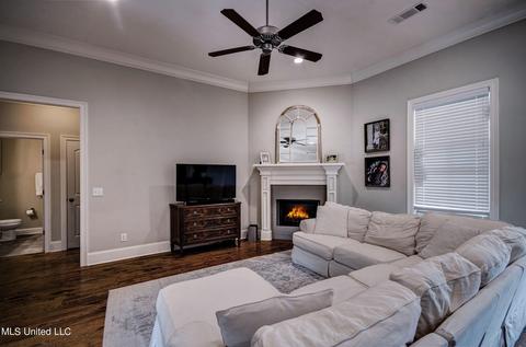 217 Falls Xing, Madison, MS 39110 photo 9