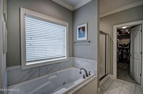 217 Falls Xing, Madison, MS 39110 photo 21