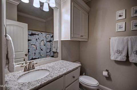 217 Falls Xing, Madison, MS 39110 photo 25