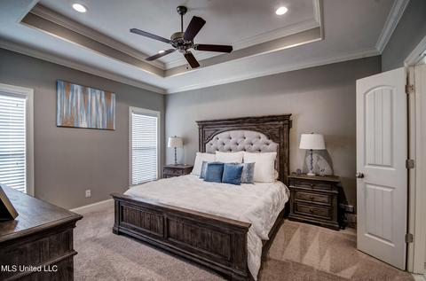 217 Falls Xing, Madison, MS 39110 photo 18