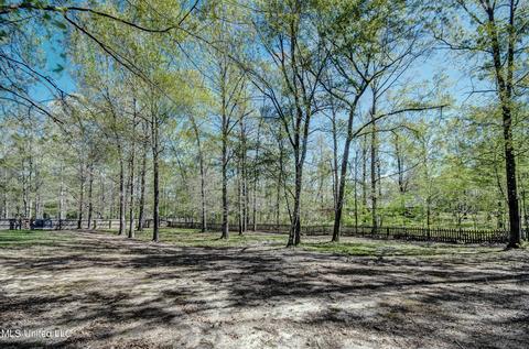 116 Sandstone Dr, Brandon, MS 39047 photo 30