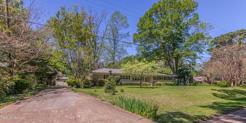 3637 Crane Blvd, Jackson, MS 39216 photo 15
