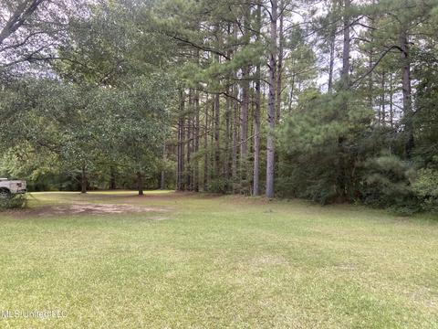 91 Jim Easterling Rd, Richton, MS 39476 photo 15