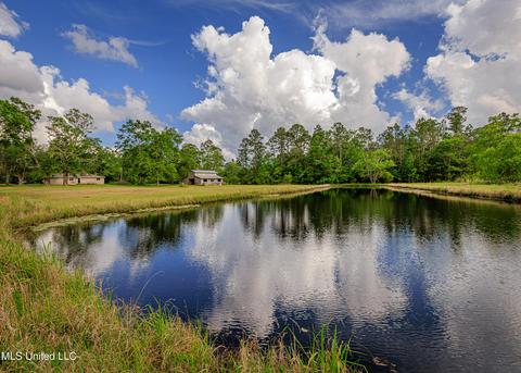 19087 Peterson Rd, Saucier, MS 39574 photo 60