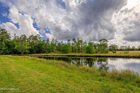 19087 Peterson Rd, Saucier, MS 39574 photo 62