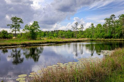 19087 Peterson Rd, Saucier, MS 39574 photo 63