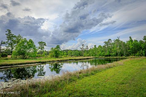 19087 Peterson Rd, Saucier, MS 39574 photo 57