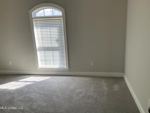 509 Eternal Ct, Brandon, MS 39042 photo 18