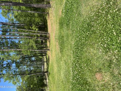 17170 Midway Rd, Terry, MS 39170 photo 1