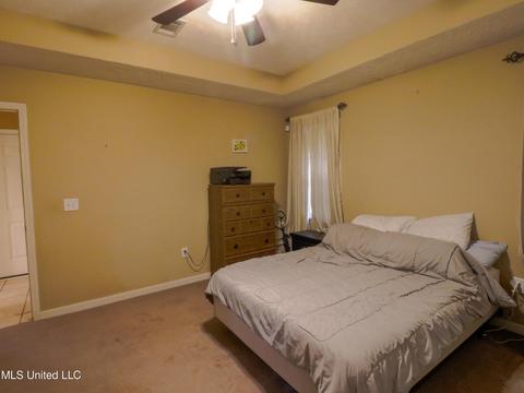 205 Laurel Oak Cv Cv, Brandon, MS 39047 photo 10