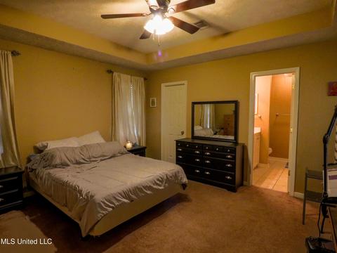 205 Laurel Oak Cv Cv, Brandon, MS 39047 photo 6