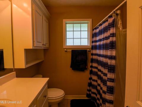205 Laurel Oak Cv Cv, Brandon, MS 39047 photo 17
