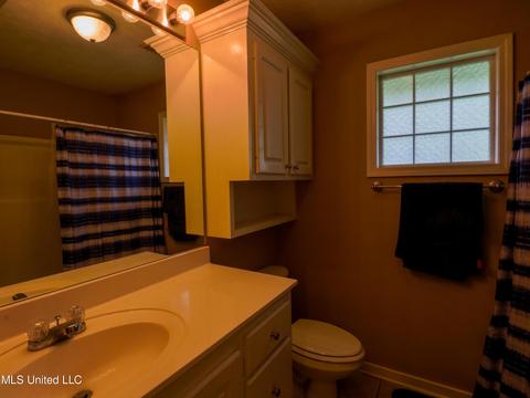 205 Laurel Oak Cv Cv, Brandon, MS 39047 photo 16