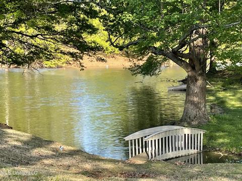 7556 Bear Cove Cv, Walls, MS 38680 photo 13